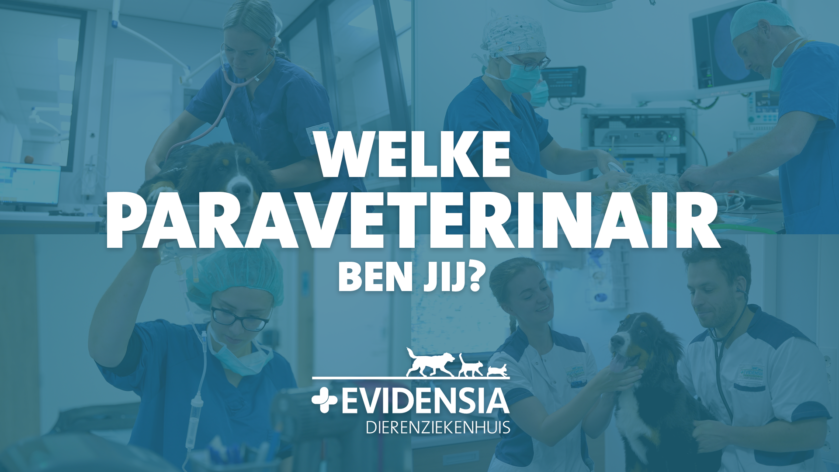 Paraveterinair Werving COVER_WIDE