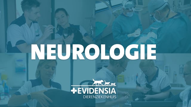 1543643566-c4264755f04e8cf8895fdace2cc6b44a134fb31ede8c8e426e894bf802a0f8d0-d_640